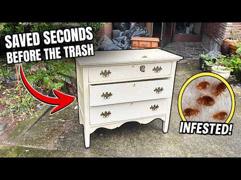 Bed Bug INFESTED Antique Chest of Drawers… Can I Save It?