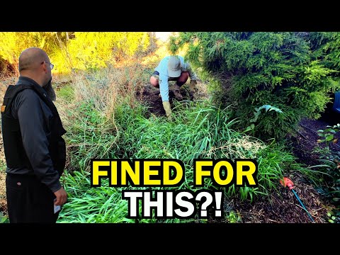 CODE ENFORCEMENT Threatened To FINE Her But I Made Them CHANGE Their Mind