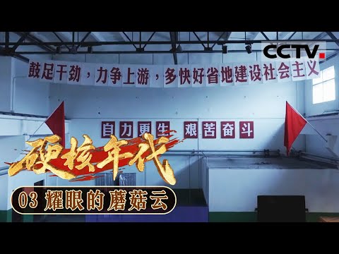 《硬核年代》03 耀眼的蘑菇云:罗布泊上空一声巨响 耀眼的蘑菇云是“596”的誓言 是一代核工业人对“自力更生”最响亮的回答【CCTV纪录】