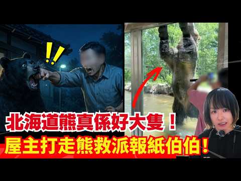 【日本熊患注意🚨】屋主兩拳擊退熊、勇救派報紙男士!日本真係好多人討論熊出沒、旅遊業跌三成!熊連環襲擊事件 | 日本新聞報導 | CC中文字幕 #熊出沒 #柴犬 #廣東話 #新聞 #突發