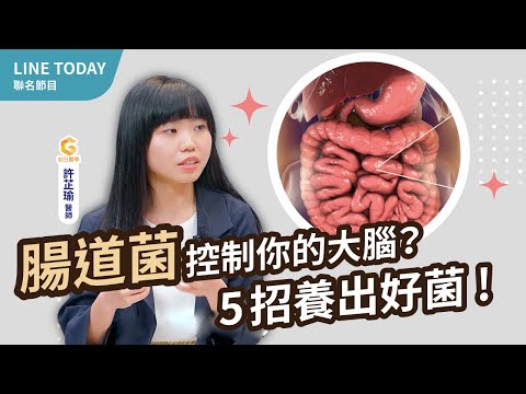 食慾失控、情緒不穩?醫師:腸道菌正在操控你的大腦!關鍵5招養出一肚子好菌|初日診所許芷瑜醫師【TODAY健面聊】#12 腸腦軸 下集 (免費送改善腸躁懶人包) @TODAY健面聊