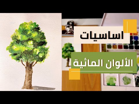 اساسيات الألوان المائية | تعليم الرسم للمبتدئين 👩🏻🎨