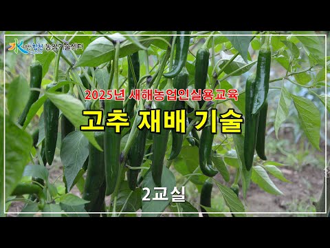고품질 고추 재배기술 2교실