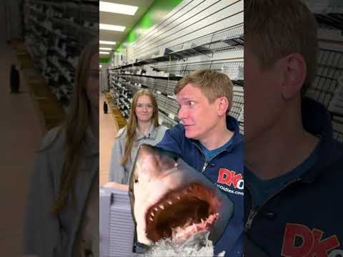 Movies to Video Games 🎮