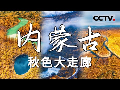 “藏着一半中国”的内蒙古 你可能并不了解!覆盖了中国最广的森林 最大的沙地 最密集的火山带!内蒙古远不是“大草原”所能概括【CCTV纪录】