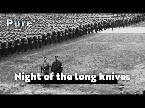 Night of the long knives: Hitler's rise to power | PURE WW2