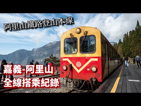 【阿里山鐵路全線搭乘紀錄】搭小火車看雲海 嘉義至阿里山景觀全紀錄