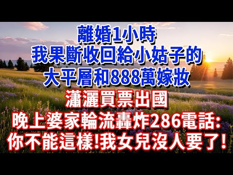 離婚1小時,我果斷收回給小姑子的大平層和888萬嫁妝,瀟灑買票出國,晚上婆家輪流轟炸286電話:你不能這樣!我女兒沒人要了!#小魚故事會#為人處世#人生感悟#中老年生活