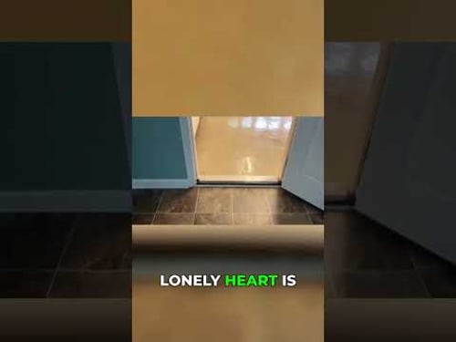 Feels Like Jealousy: Why Am I Always Tired of Waiting?