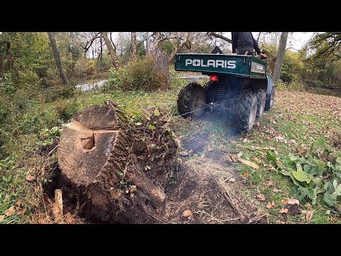 Polaris Big Boss 6x6 - Stump Pulling Power!
