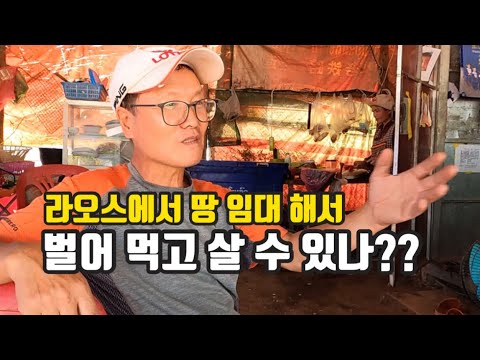 라오스에서 땅 임대해서 벌어먹고 살 수 있나?