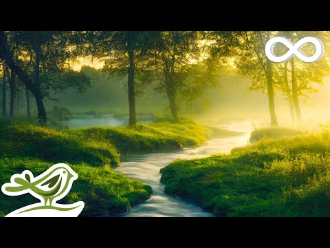 Daydreaming: Relaxing Flute & Piano Music with Trickling Water Sounds for Spa, Meditation & Sleep