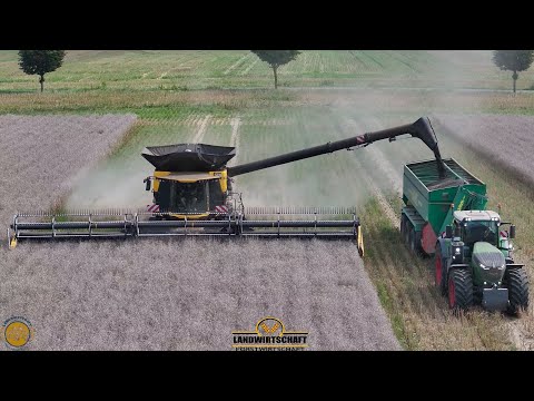 Wie schlägt sich das 15m Schneidwerk am Größten Mähdrescher der Welt New Holland CR11 Raps Dreschen