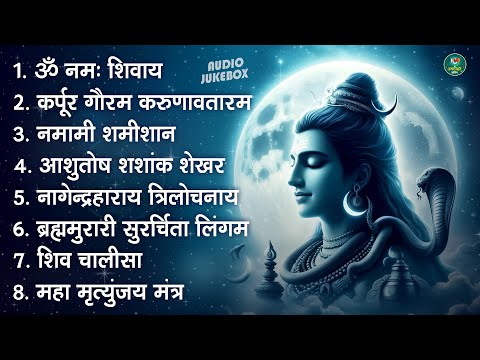 भक्ति भजन - आशुतोष शशाँक शेखर, कर्पूर गौरम करुणावतारं, ॐ नमः शिवाय, शिव अमृतवाणी व शिव आरती