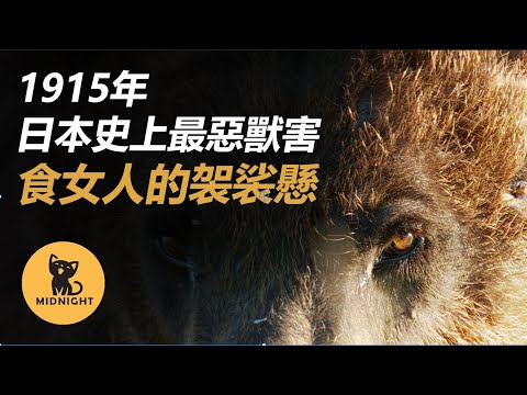 只吃女人的詭異獸害,日本史上堪比靈異故事的猛獸食人事件 三毛別羆|獸害|真實案件|真實事件|都市傳說|恐怖