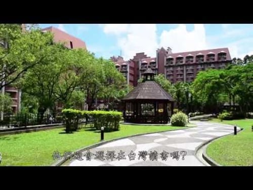 外藉生在台生活 10211119A 新聞