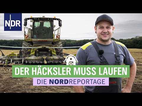 Werner und Robby: Der Häcksler ist am Limit - ein Wettlauf mit der Zeit | Die Nordreportage | NDR