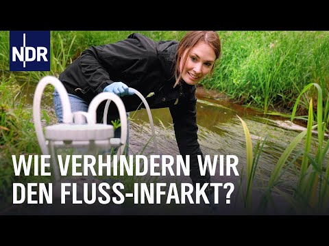 Unser Fluss soll leben! | Doku | NDR Story