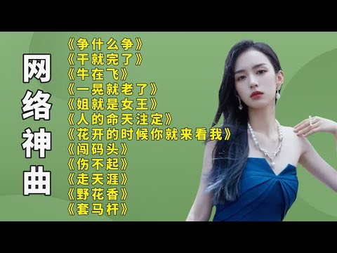 网络神曲.争什么争..干就完了..牛在飞..一晃就老了..姐就是女王.