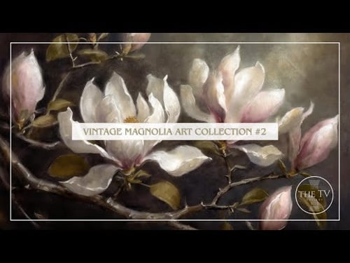 Vintage Magnolia Art Collection #2 | 4K TV Frame Art Screensaver | Vintage Moody Inspired Floral Art