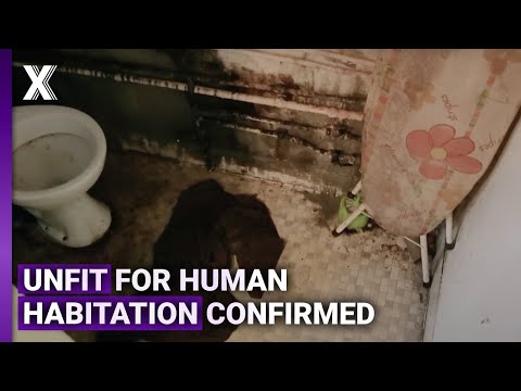 Damp and Mould Infest Council Housing Case