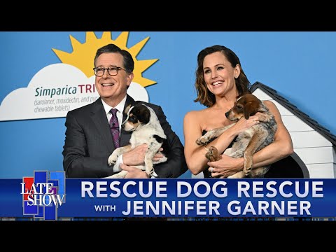 Rescue Dog Rescue with Jennifer Garner