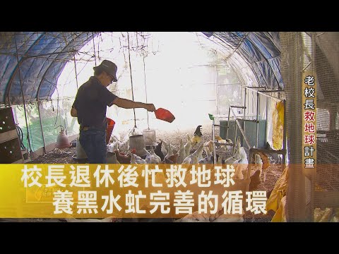 〔彰化〕老校長救地球計畫!自家三分地農場做範例 養黑水虻 自耕自食落實土地友善循環∣一步一腳印【老校長救地球計畫】20251012