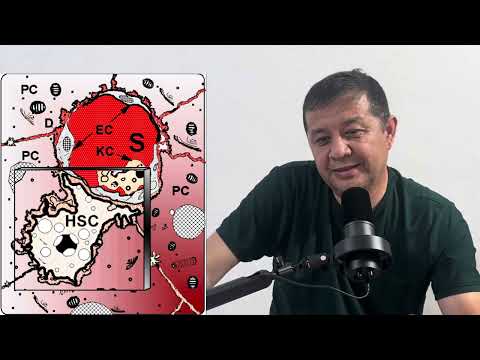 Жигар ёг босиши (жировой гепатоз ) асосий сабаблари