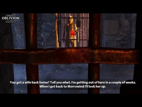 Dunmer prisoner roasting Dunmer Male & Female player choice😂