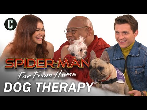 Tom Holland, Zendaya, and Jacob Batalon Play with Therapy Dogs