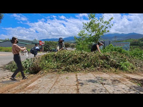Everyone Was EXCITED to See the Clean Sidewalk Under the Giant Roll of Grass –A DISAPPOINTING Ending