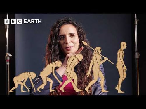 Human Evolution Myths Debunked By Paleoanthropologist | Human | BBC Earth Science