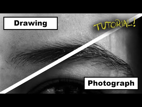 How to Draw a Hyper Realistic Eyebrow! EASY Step-by-Step
