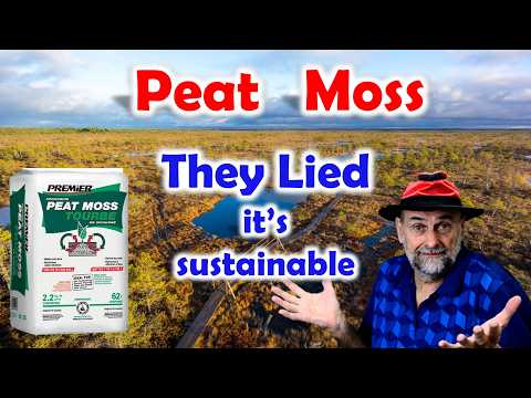 Environmental Myths about Peat Moss - Why You Should Keep Using It