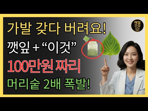 깻잎에 '이것' 넣고 끓였더니? 3주 만에 70세 할머니 정수리가 꽉 찼습니다. 돈 안 드는 천연 발모제 | 탈모 | 두피열