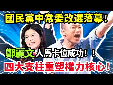 國民黨中常委改選落幕,權力重新洗牌,鄭麗文人馬卡位成功,四大支柱重塑權力核心!#鄭麗文