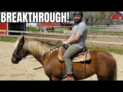 SURPRISE! Tiana’s Big Update…