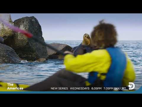 DISCOVERY CHANNEL THE AMERICAS