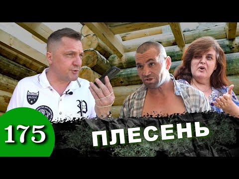 Дом за миллион / Плесень сожрала каркас / Нам не рады