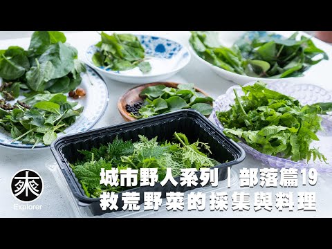 台灣野菜採集與料理19,車前草、土肉桂、皺葉酸模、腎蕨、過溝菜蕨、火炭母、咬人貓、唐棉、薏苡、羅氏鹽膚木、桃葉斑鳩菊、川七、落葵、假酸漿、佛手瓜、山藥,探路者城市野人|救荒野菜採集-部落篇第19集
