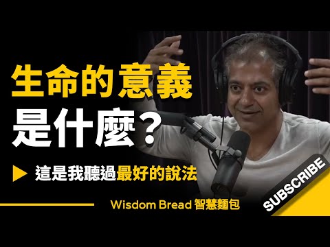 生命的意義是什麼?► 這是我聽過最好的說法 - Naval Ravikant 納瓦爾·拉維坎特(中英字幕)