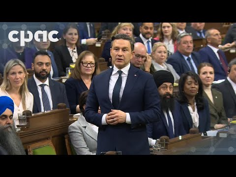 Question Period – February 3, 2026