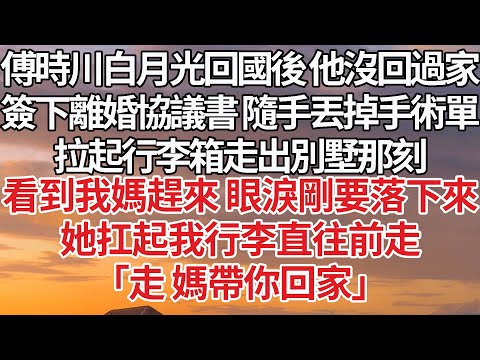 【完結】傅時川白月光回國後 他沒回過家,簽下離婚協議書 隨手丟掉手術單,拉起行李箱走出別墅,看到我媽趕來 眼淚剛要落下來,她扛起我行李直往前走,「走 媽帶你回家」