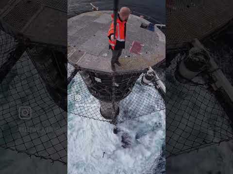 Standing on top of Wolf Rock Lighthouse #ocean #lighthouse #djiosmoaction
