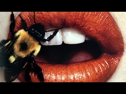 THE PORTRAITS OF IRVING PENN