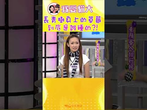 長青樹身上的草莓 到底是誰種的?!【康熙來了 #shorts 】