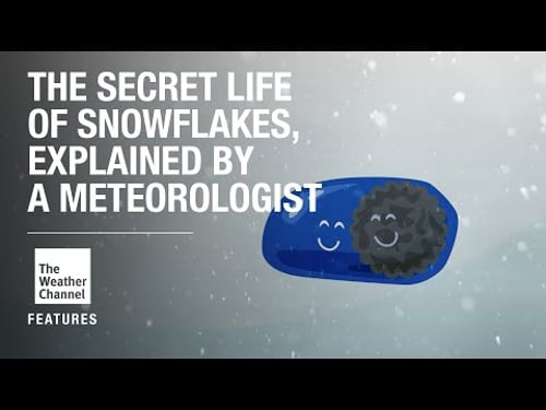 FEATURES: The Science Behind How A Snowflake Forms