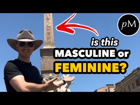 What's the Point of Grammatical Gender?