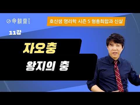 호신샘 형충회합반(11강) 자오충 子午, 수화상쟁 왕지의 충 (명담재 호신샘 사주명리학 시즌5)