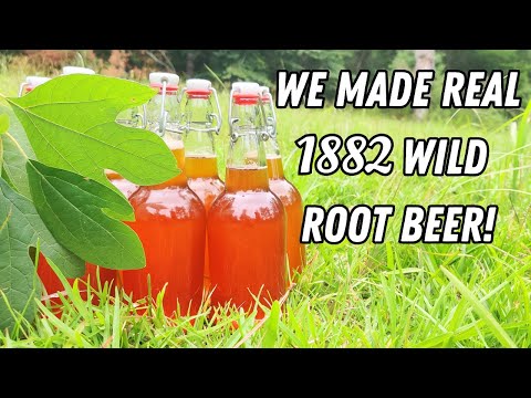 Early American Root Beer From Scratch (Naturally Carbonated!)